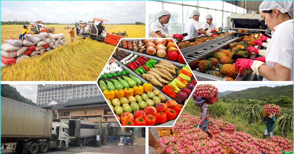 Mời tham gia Chương trình đón Đoàn DN nhập khẩu nông, lâm, thủy sản Trung Quốc vào Việt Nam giao dịch mua hàng tại tỉnh Lào Cai 2026